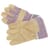 Pinnacle Candy Stripe Pig Skin Glove