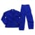 Pinnacle Royal Blue Conti Suit (2 Piece ) Size 32 to Size 44
