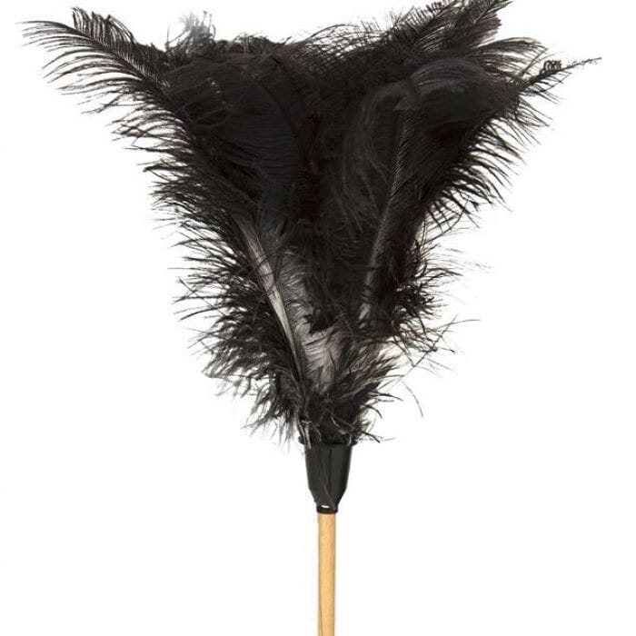 Promop Feather Duster - 460mm Length